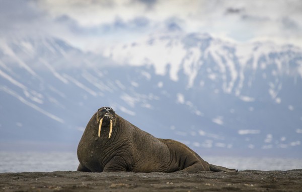 J3S3I1